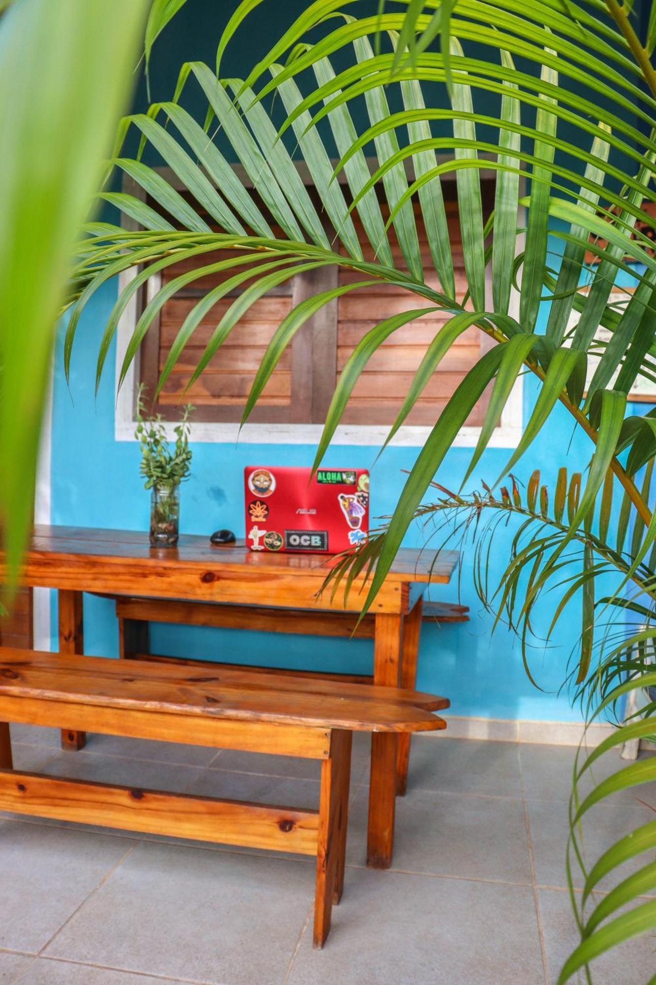 Back To The Beach Hostel - Pipa Praia de Pipa Екстер'єр фото